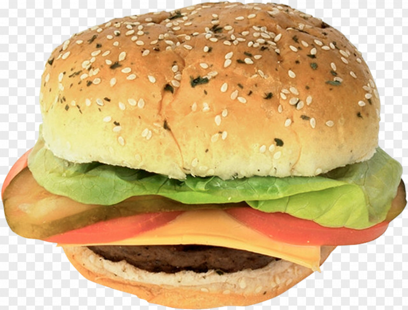 Hot Dog Hamburger Cheeseburger Fast Food Arrabbiata Sauce Lettuce PNG