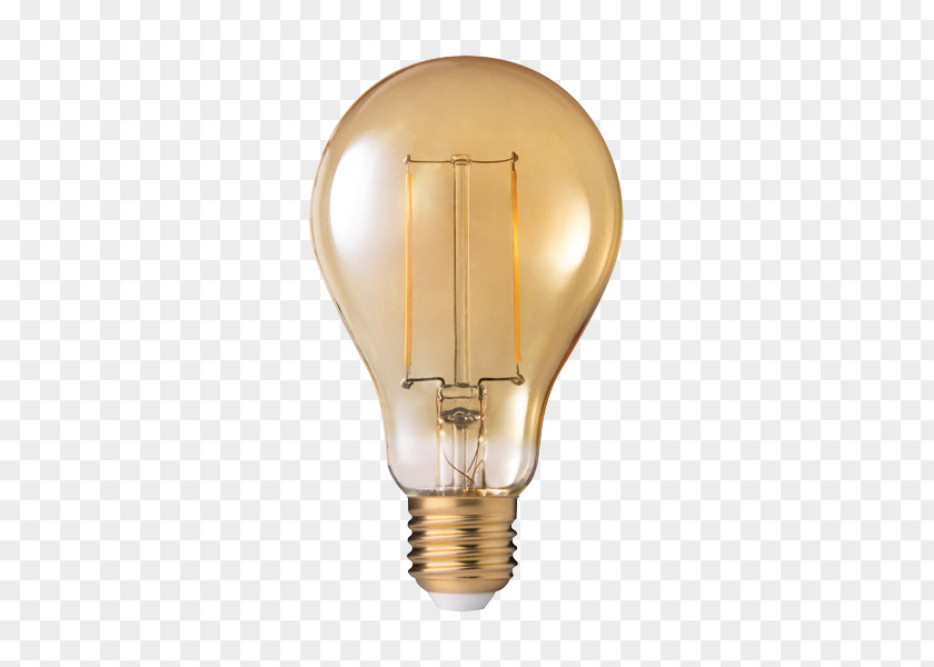 Light Incandescent Bulb LED Filament Lamp Edison Screw PNG