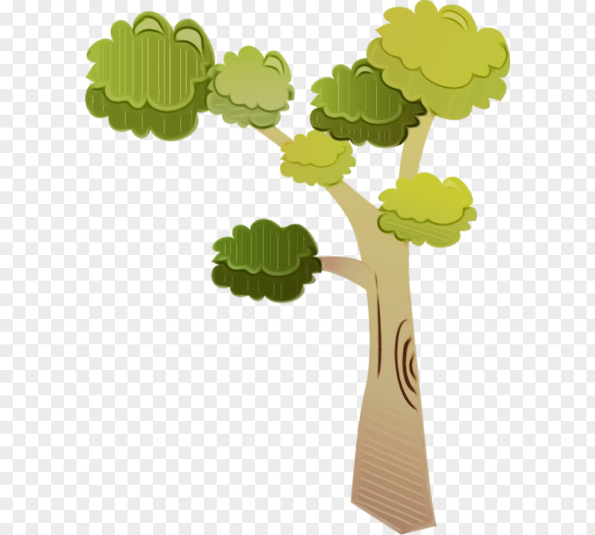 Symbol Flower Leaf Green Tree Plant Stem PNG