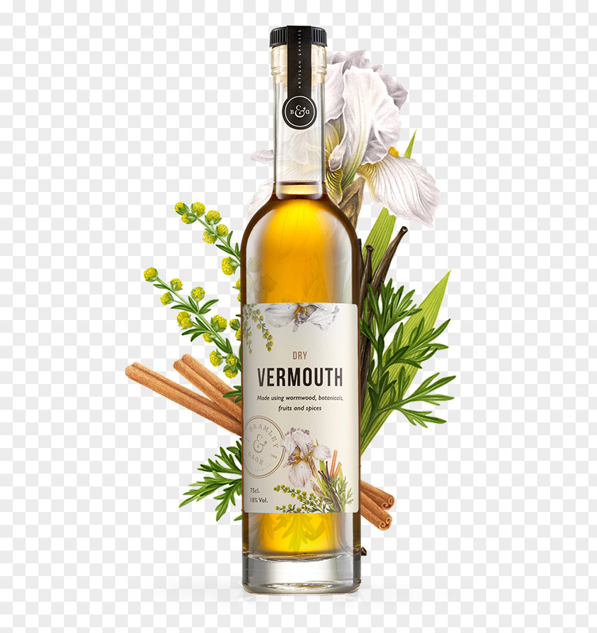 Wine Liqueur Vermouth White Gin PNG