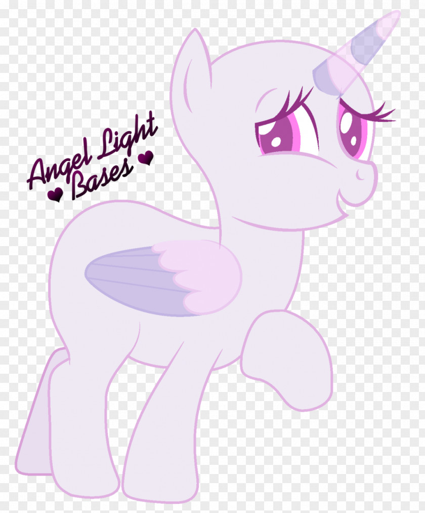 Cat Whiskers Pony Horse Canidae PNG