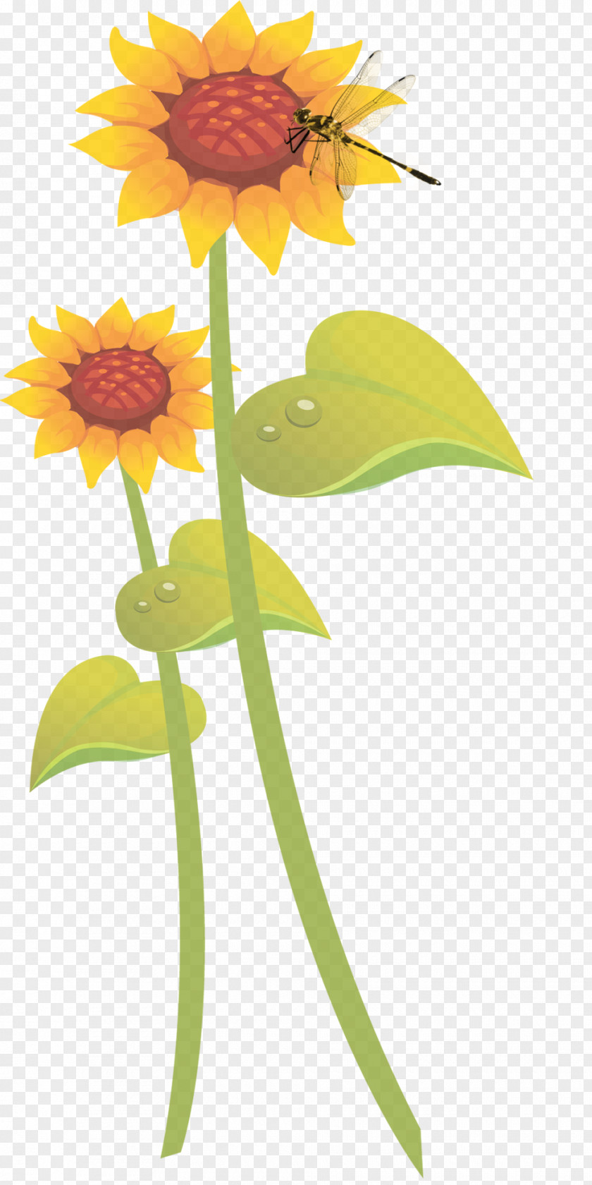 Hand-painted Decorative Plants Common Sunflower Student Movement Illustration PNG