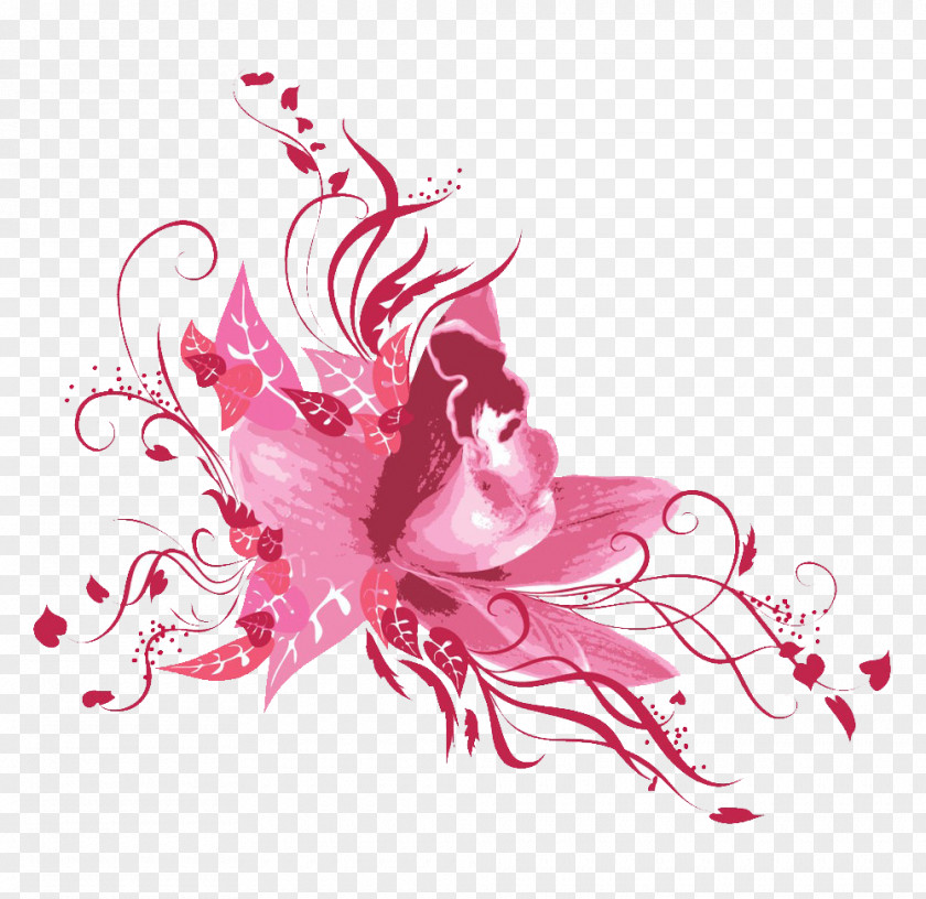 Lily Illustration PNG