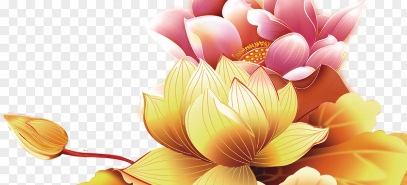 Lotus Mid-Autumn Festival Flower Chinese New Year PNG