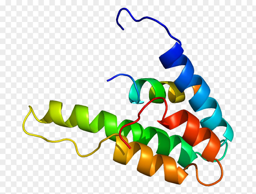 SIN3A Zinc Finger And BTB Domain-containing Protein 16 Gene Amphiphile PNG