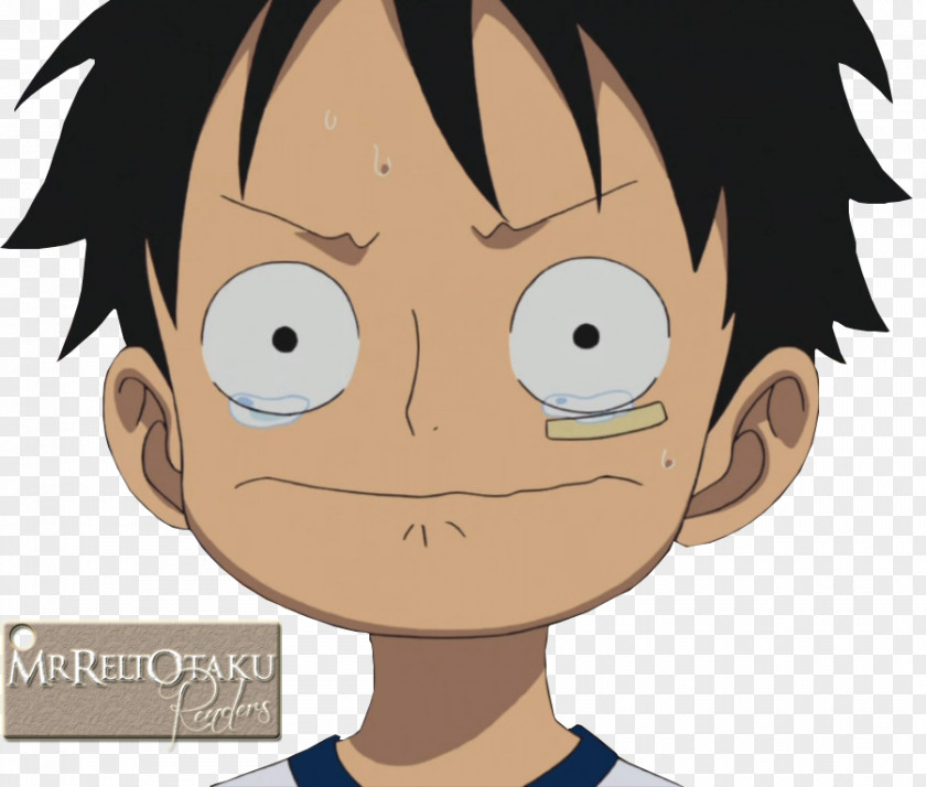 Eye Art Monkey D. Luffy Cheek Brown Hair PNG