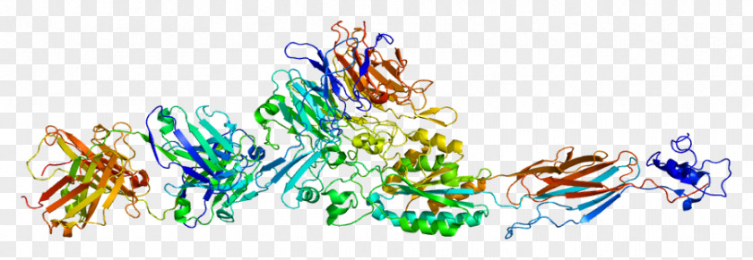 ITGA2B Integrin Glycoprotein Alpha Chain PNG