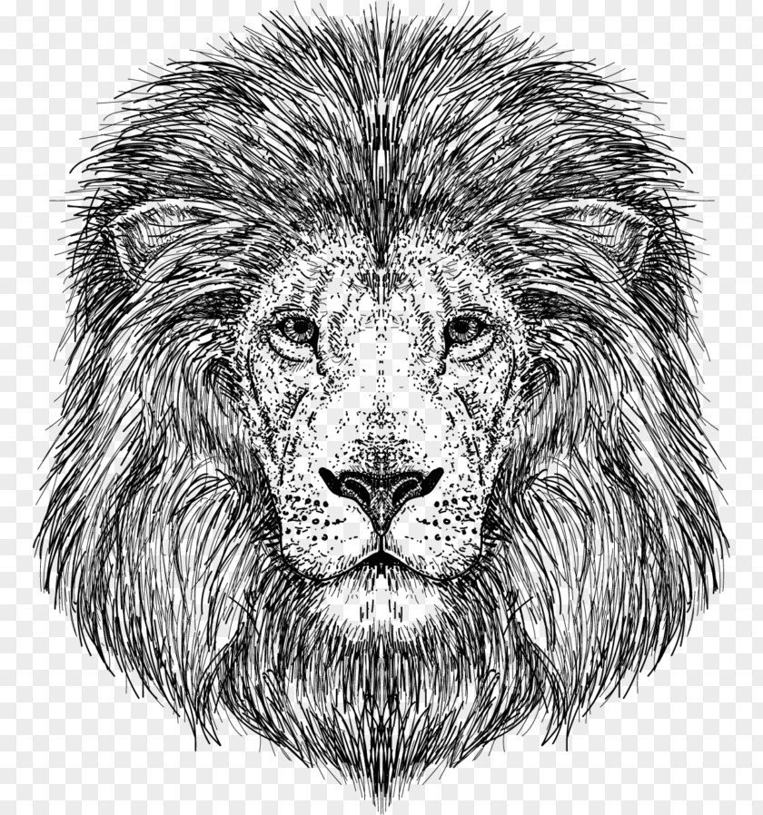 Lion File Art Image Painting PNG