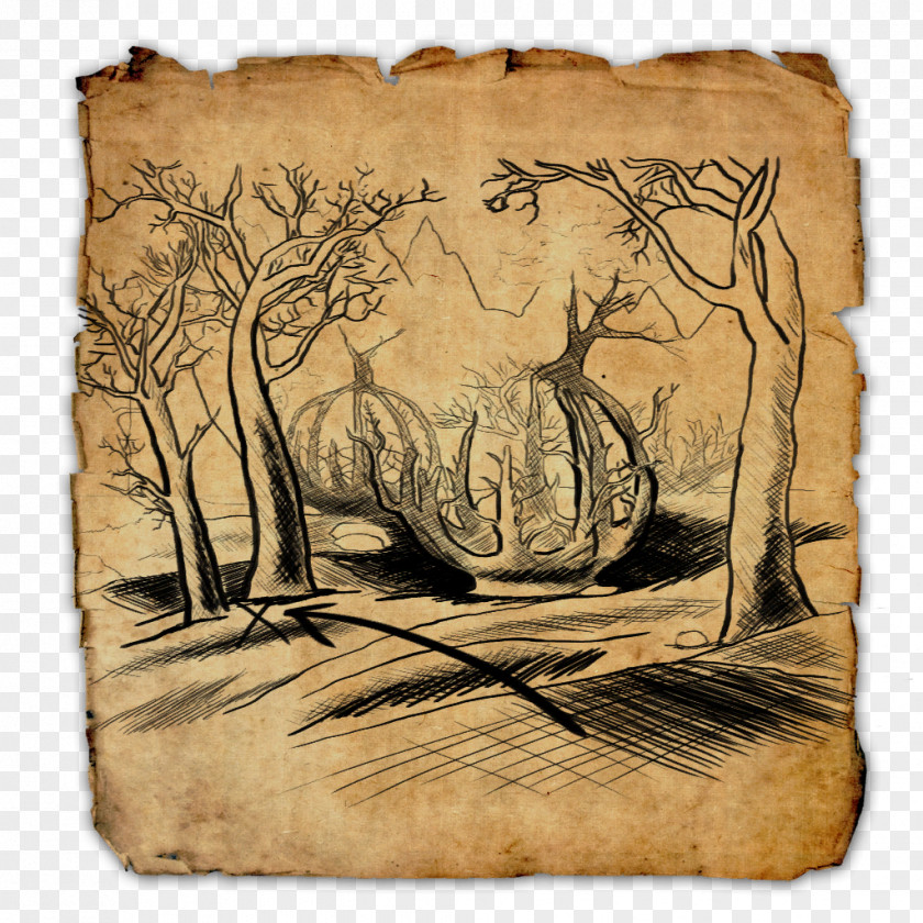 Map Elder Scrolls Online: Clockwork City Treasure The II: Daggerfall Cyrodiil PNG