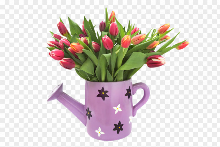 Pouring Kettle Tulips Flower Bouquet High-definition Television Wallpaper PNG