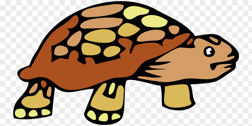 Turtle Reptile Tortoise Clip Art PNG