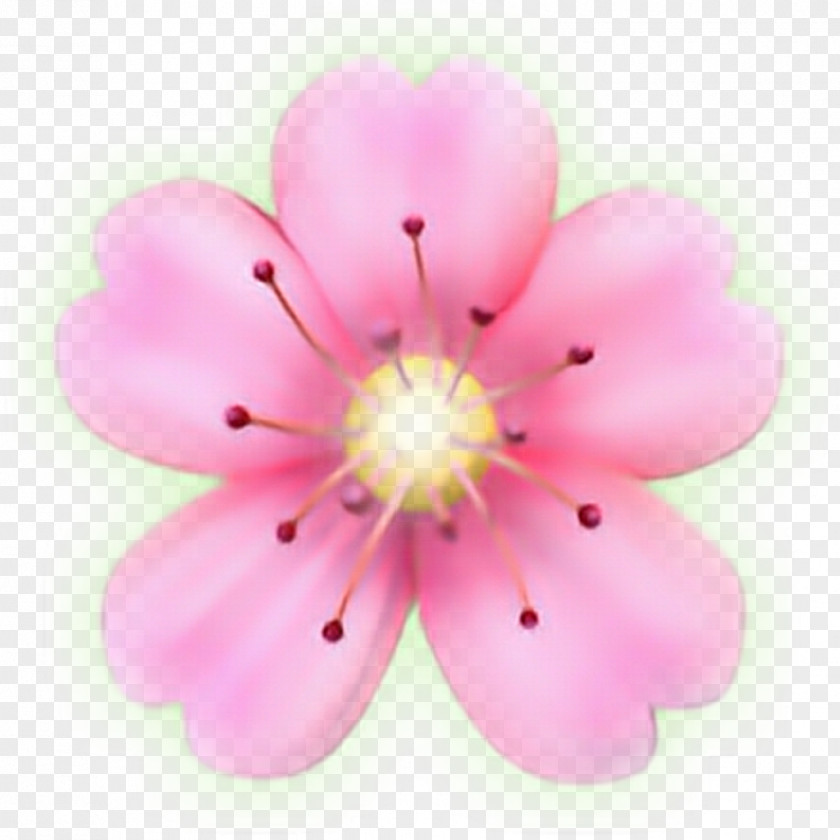 Flower Emoji Sticker Petal PicsArt Photo Studio PNG