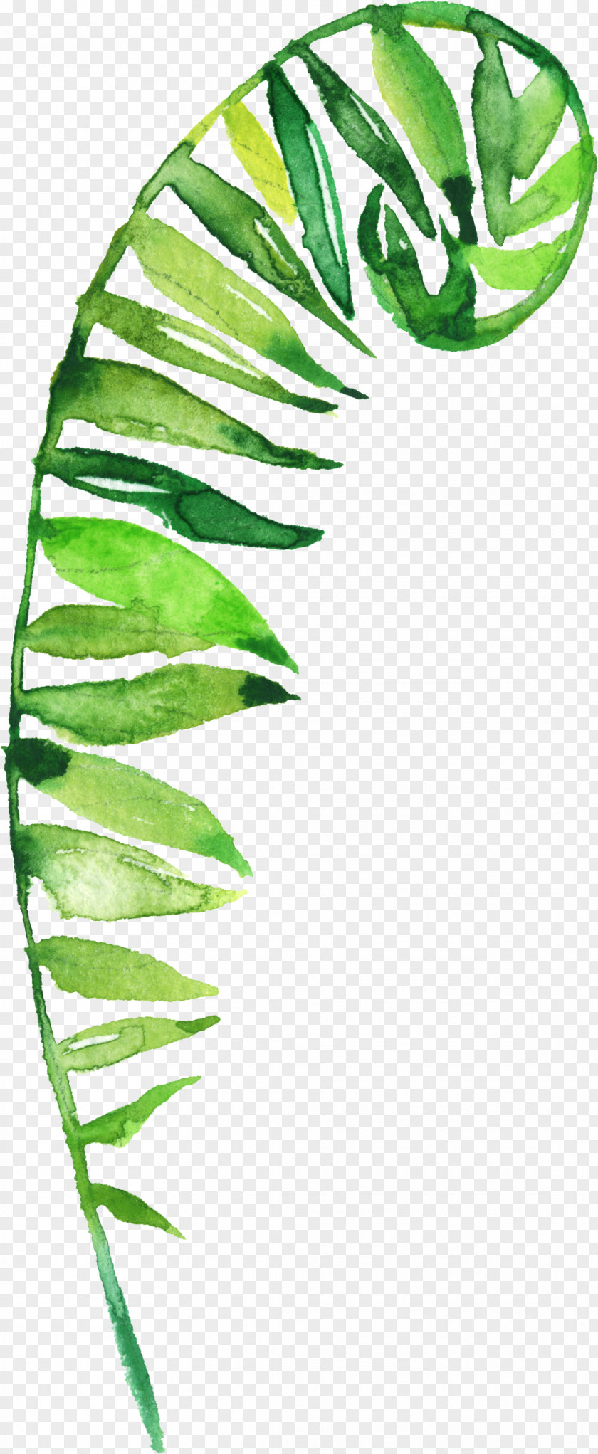 Hand-painted Grass Leaf Flower Clip Art PNG
