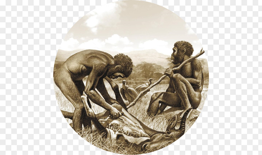 Prehistory Neanderthal Herto Man Homo Habilis Ethical Omnivorism PNG