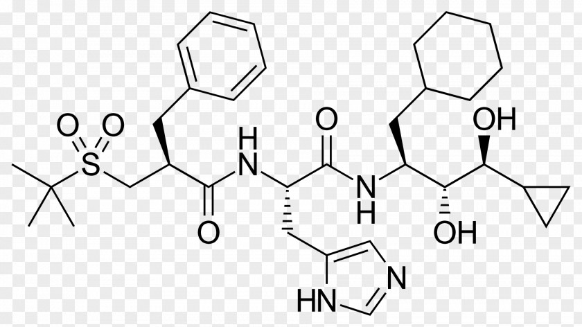 Renin Inhibitor Hypertension Pharmaceutical Drug Glycosylation Chemical Compound PNG