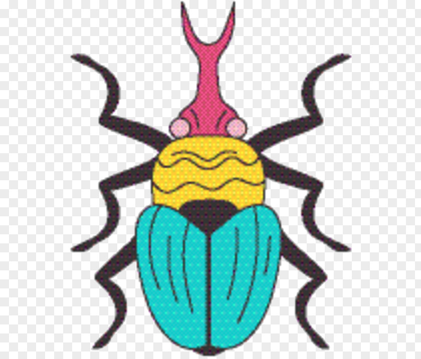 Symmetry Membrane Insect PNG