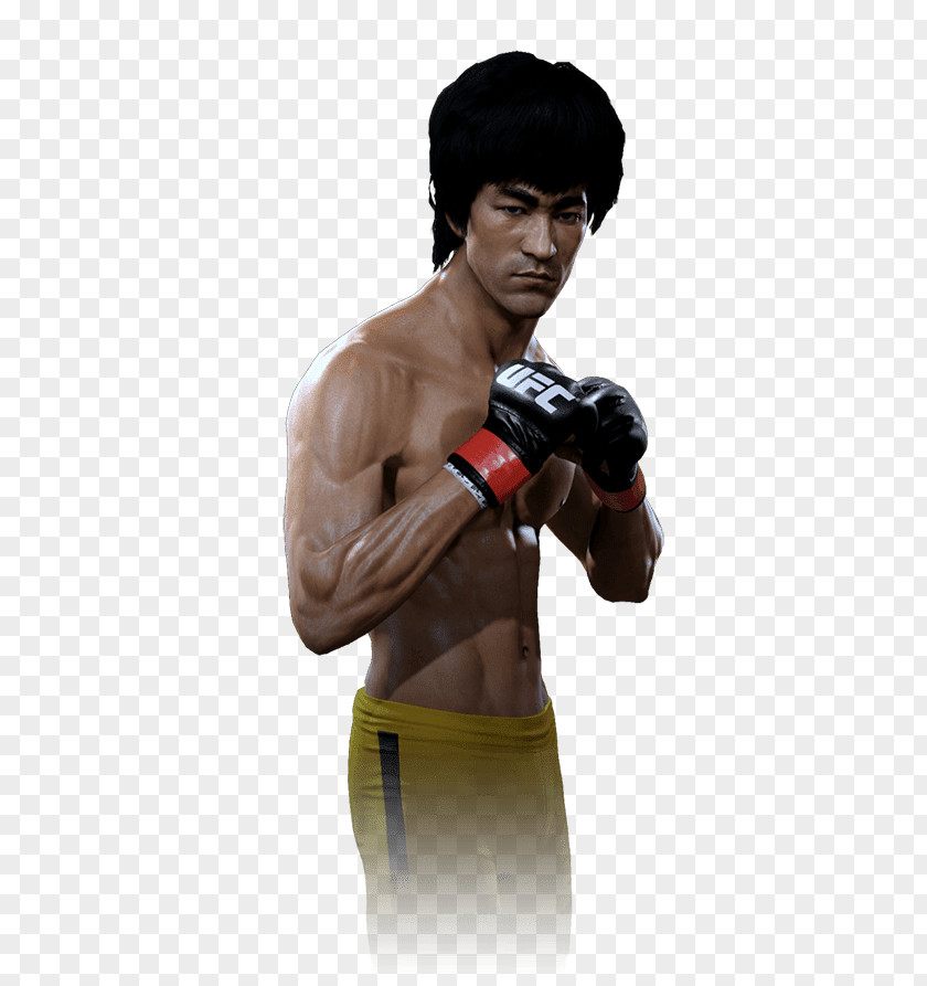 Anderson Silva Pradal Serey Boxing Glove Ultimate Fighting Championship Video Game PNG