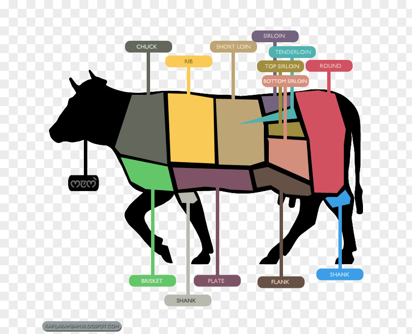 Horse Beef Cattle Clip Art Illustration Product PNG