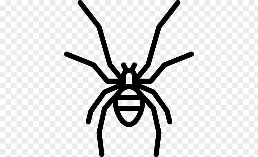 Insect Clip Art PNG