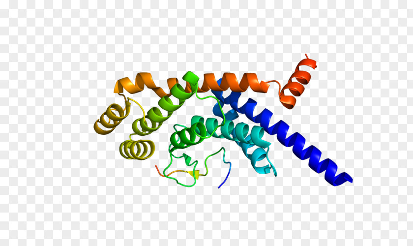 TINF2 TERF1 Shelterin Gene Telomere PNG