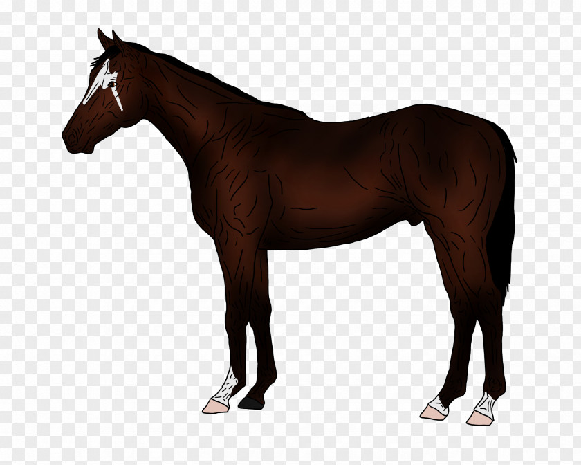 Traffic Jam Thoroughbred American Paint Horse Quarter Stallion Black Forest PNG