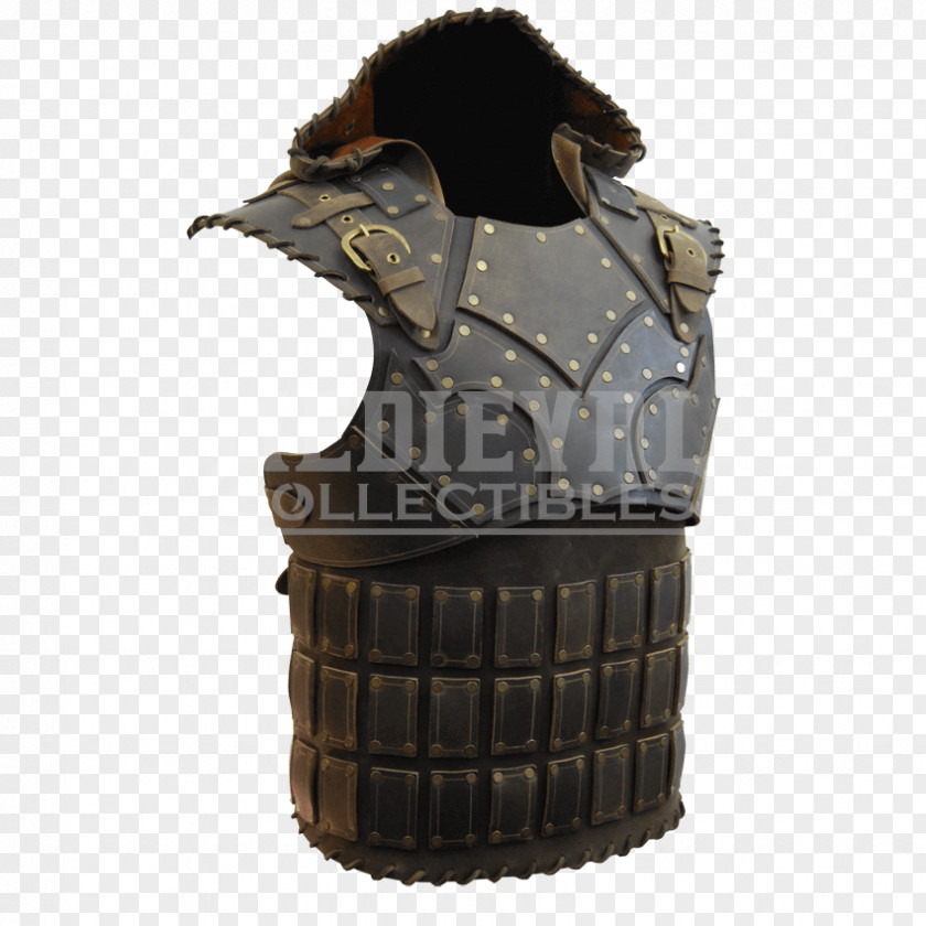 Armour Assassin's Creed IV: Black Flag Body Armor Plate Live Action Role-playing Game PNG