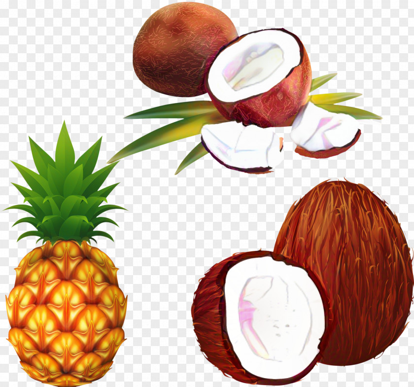 Soapberry Family Food Group Juice Background PNG