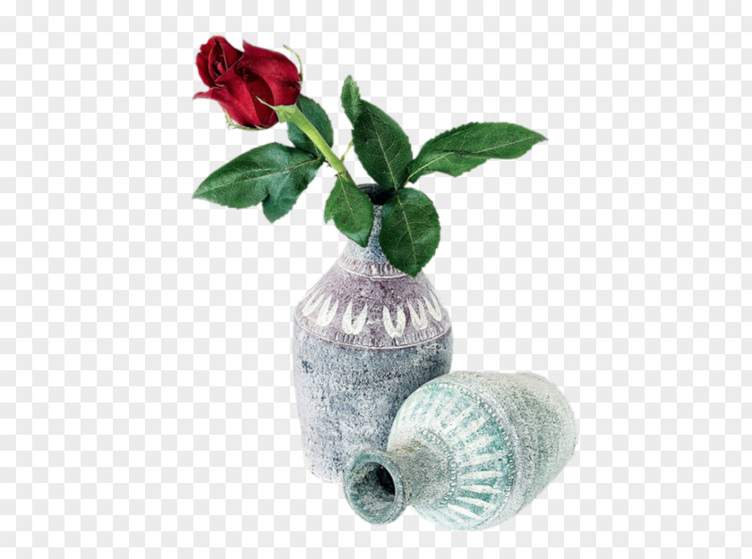 Vase Flower Décoration PNG