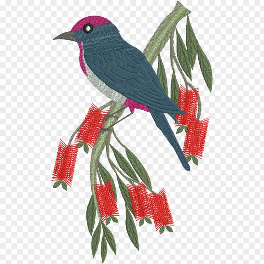 Capped Bird Machine Embroidery Parrot PNG