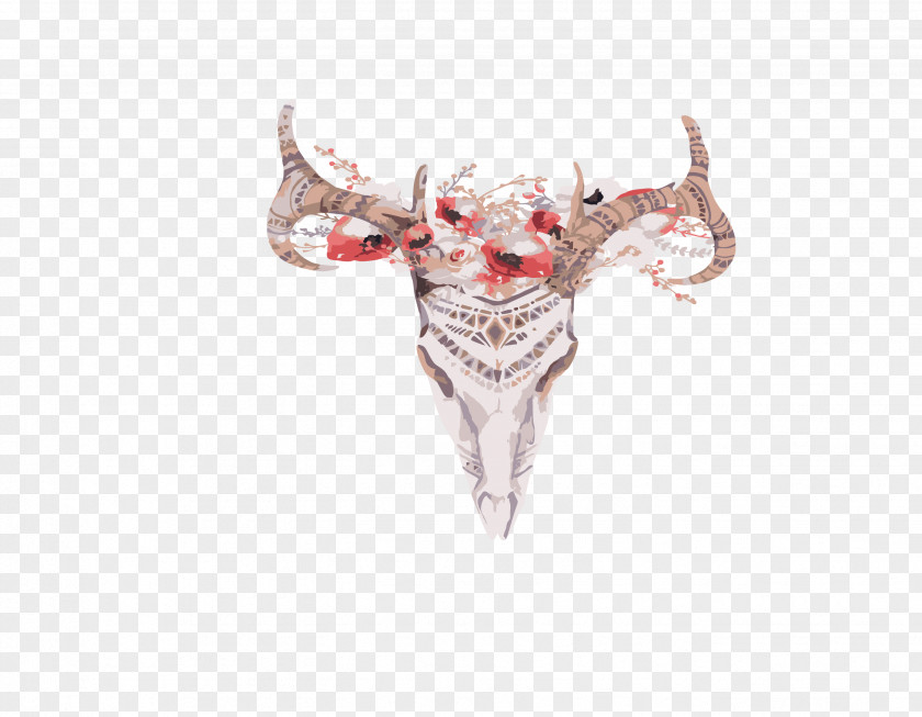 Deer Skull Cattle Horn Antler PNG