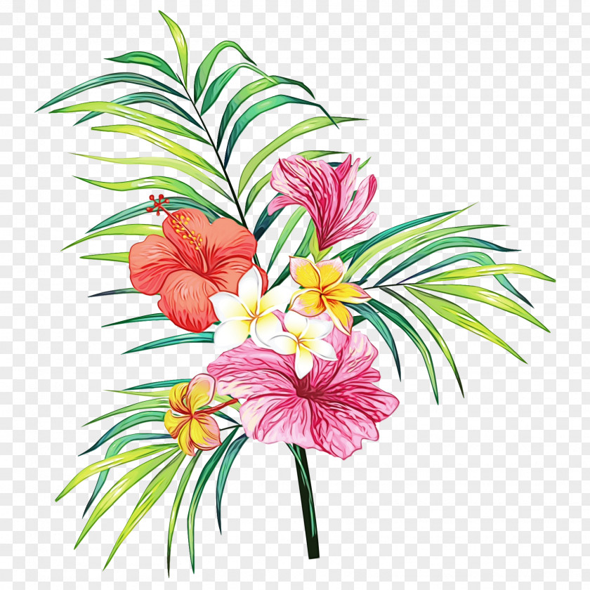 Mallow Family Arecales Bouquet Of Flowers Drawing PNG