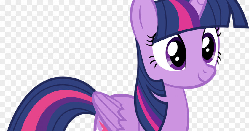 My Little Pony Twilight Sparkle Pinkie Pie Rarity Rainbow Dash PNG