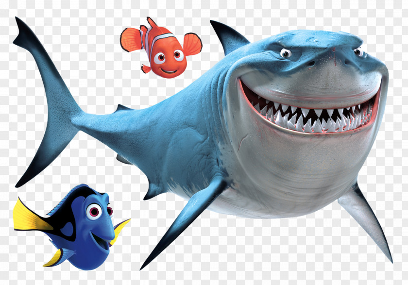 Nemo Bruce Great White Shark Drawing Clip Art PNG