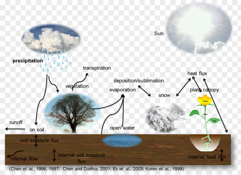 Plant Water Cycle Evapotranspiration Soil Geosphere PNG