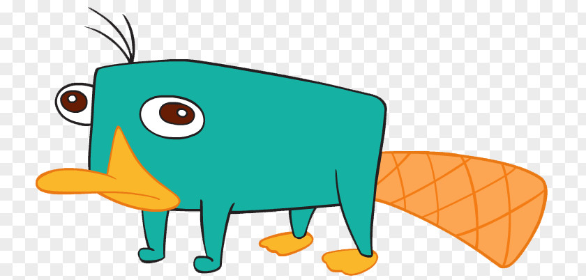 Platypus Clipart Perry The Candace Flynn Jeremy Johnson Ferb Fletcher Phineas PNG