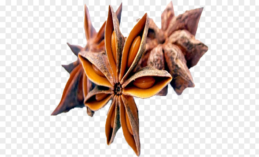Star Anise Organic Food Spice PNG