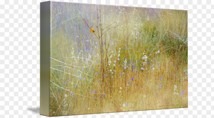 Painting Canvas Print Art PNG