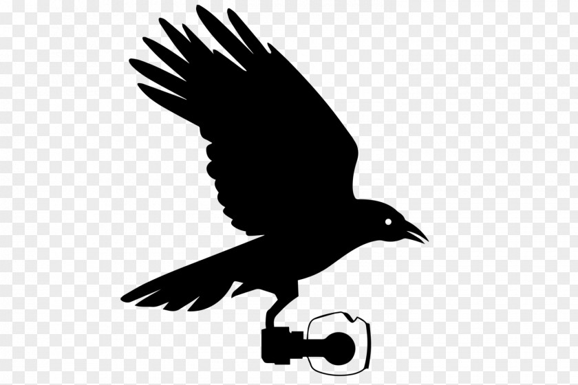 Perching Bird Logo PNG