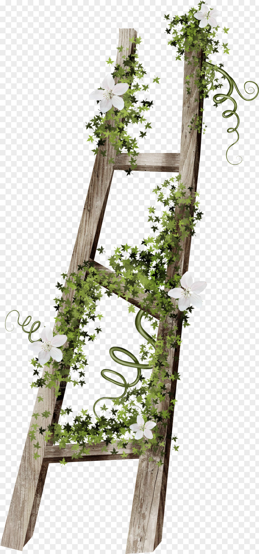 Stairs Ladder Wood PNG