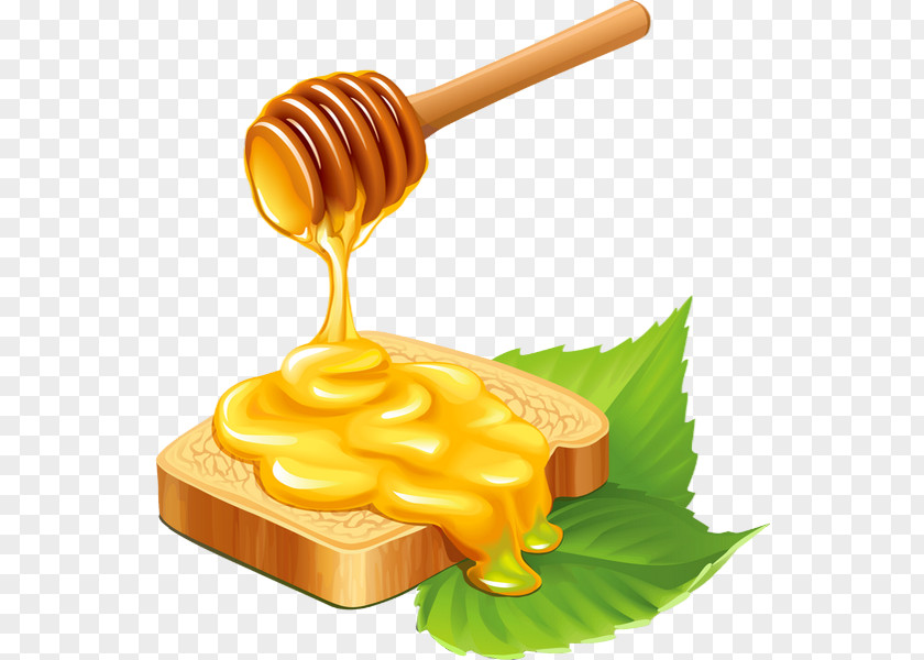 Toast Honey Bee Honeycomb PNG
