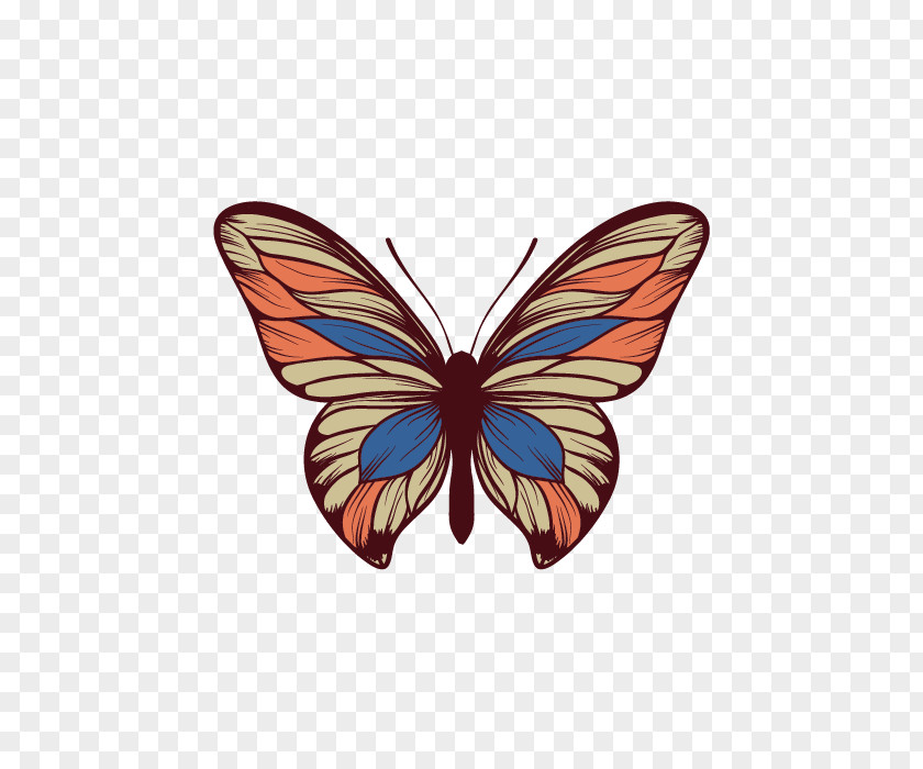Vector Colorful Butterfly PNG