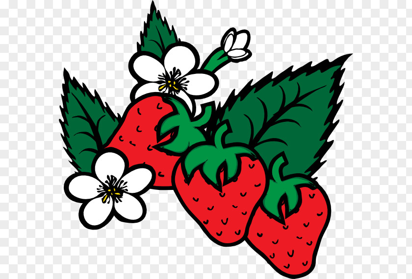 Cartoon Strawberries Virginia Strawberry Shortcake Coloring Book Fruit PNG