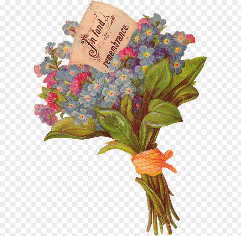 Flower Floral Design Blog Cut Flowers Bouquet PNG