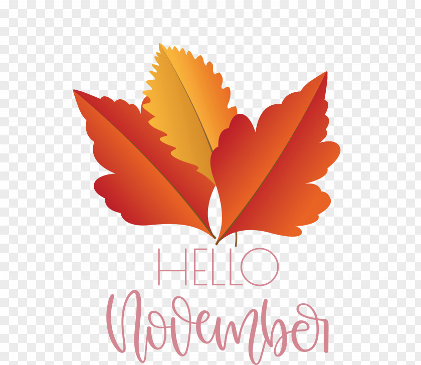 Hello November November PNG