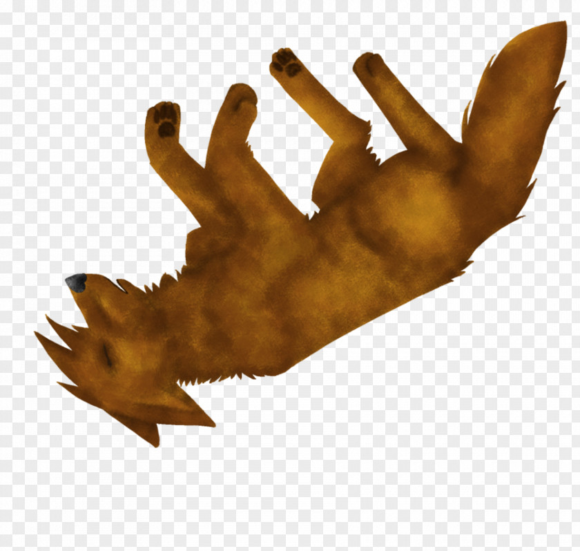 Leaf Finger PNG