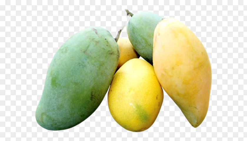 Mango International Festival Fruit Frozen Yogurt Food PNG
