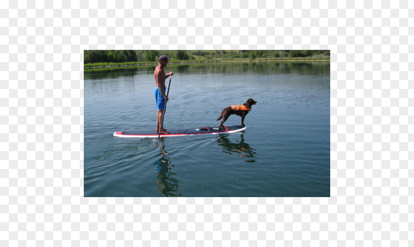 Paddle Standup Paddleboarding Board Yoga Surfing PNG