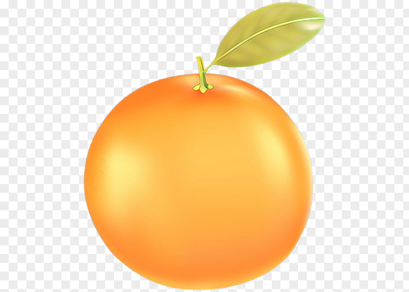 Peach Citrus Orange PNG