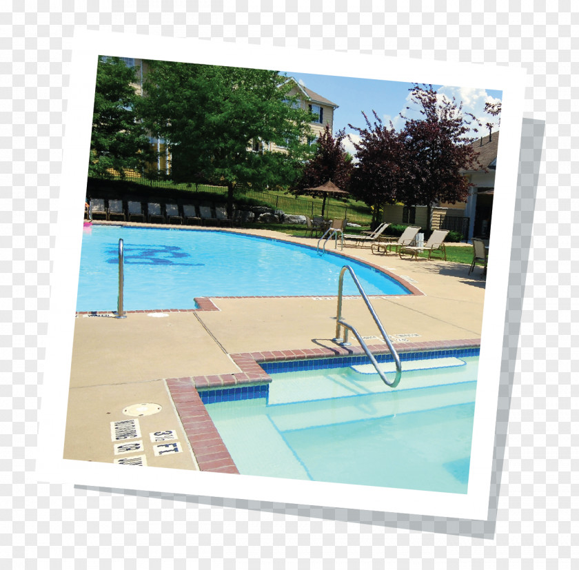 Swimming Pool Pennsylvania State University The Bryn Student Penn Nittany Lions Men's Basketball PNG