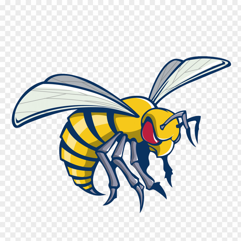 Alabama State University Hornets Men's Basketball Women's Football NCAA Division I PNG